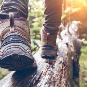 A person hiking in the woods.